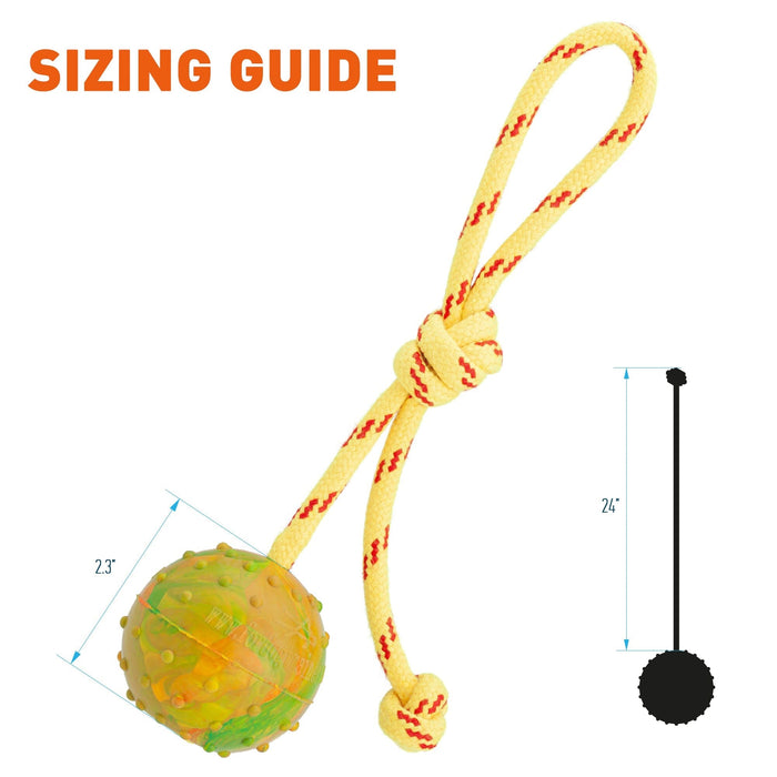 FDT Rubber Dog Ball on Rope, Medium - Diameter 2.3" (6 cm)