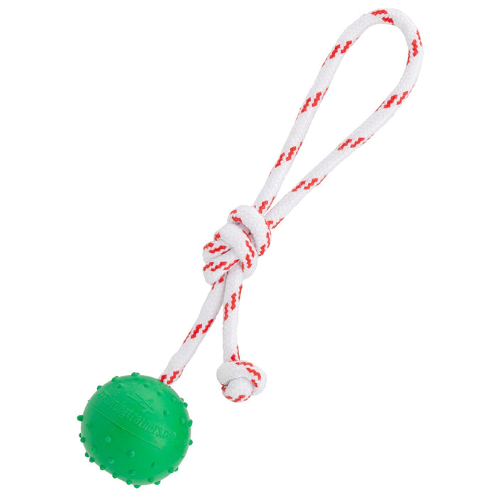 FDT Solid Rubber Dog Ball - Water Toy with Rope