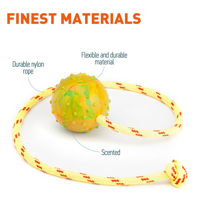 FDT Rubber Dog Ball on Rope, Medium - Diameter 2.3" (6 cm)