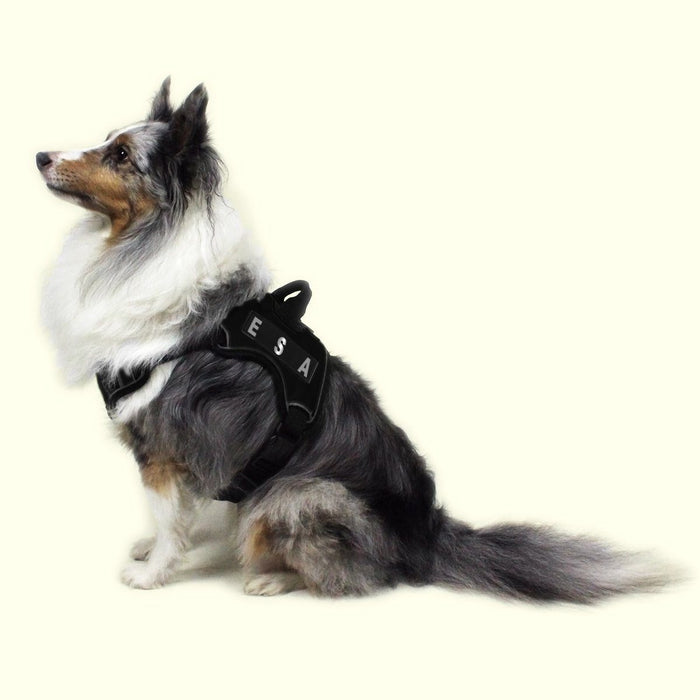 Removable Dog Backpack with 2 Reflective Velcro Patches – Elli Bear