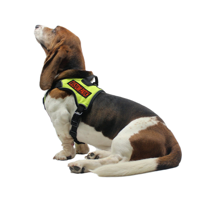 Pups! Personalized Velcro Patch (2 patches) – PupsCloset