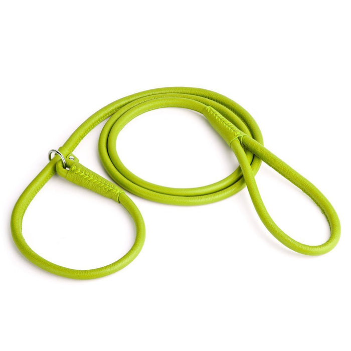 Dayglow - 1/8 inch Shock Cord